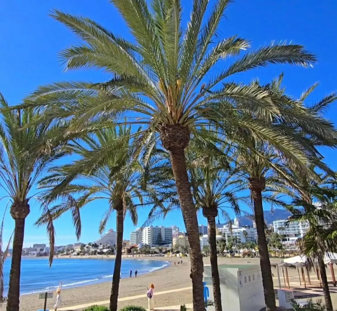 בנאלמדנה Apartment Ciruela With Sea View & Swiming Pools